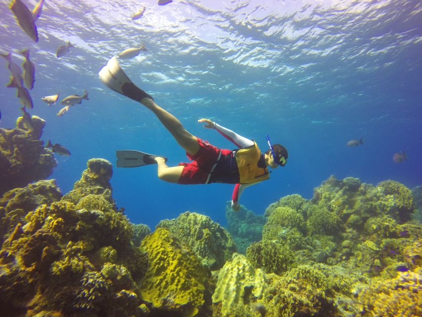 Cozumel: El Cielo Bay & Playa Mia Beach Day - Exploring El Cielo Bay