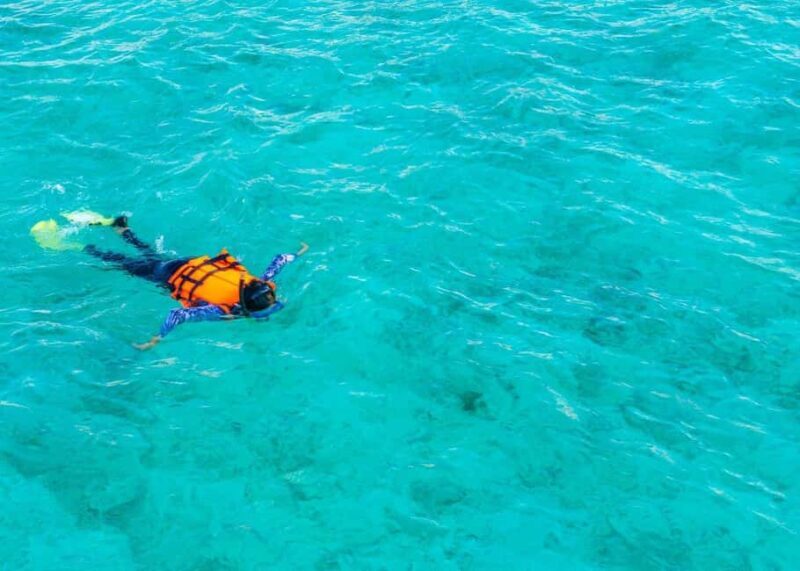 Cozumel: El Cielo & Reef Private Boat Tour with Snacks - Who is this tour best suited for?  