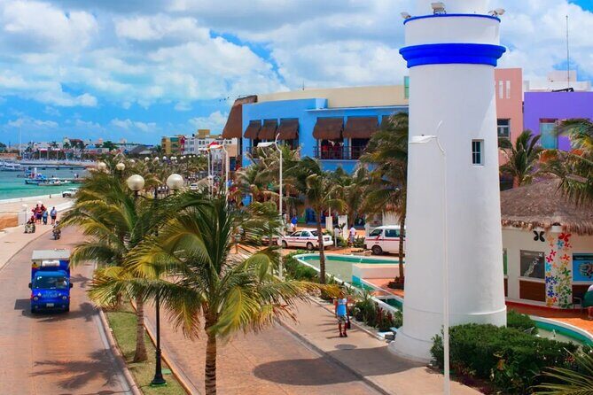 Cozumel El Cielo Reef Snorkel with Round Transportation - Final Thoughts: Who Is This Tour For?