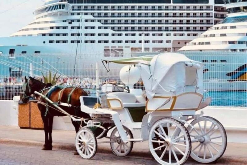 Cozumel: Electric Carriage Tour - Who Should Consider This Tour?