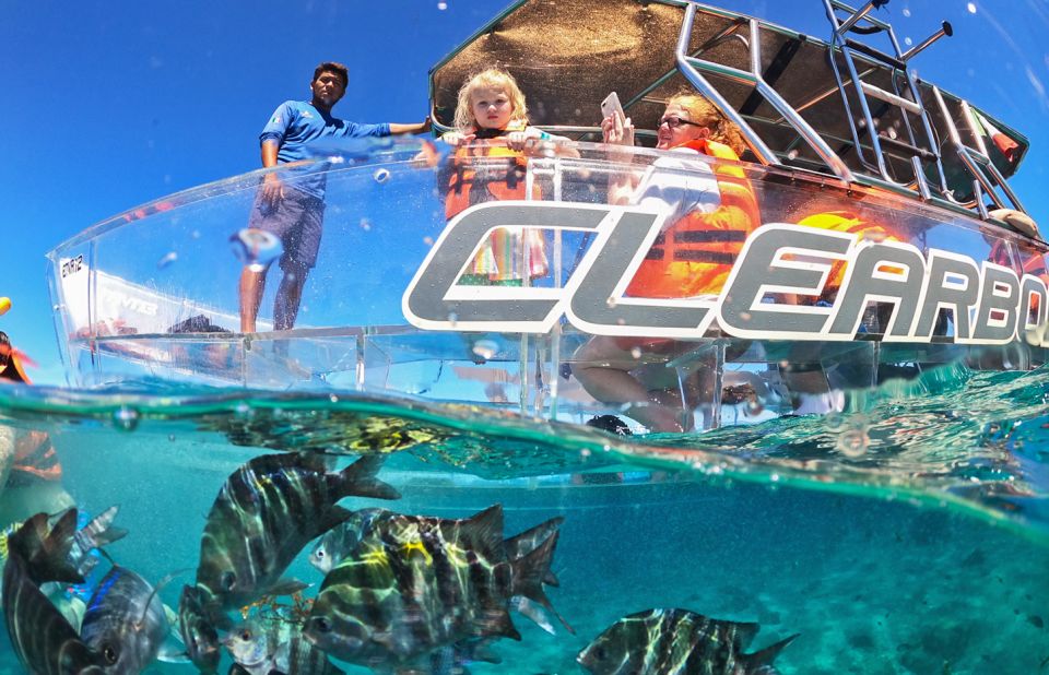 Cozumel: Excursion Crystal Boat Tour With Snorkel & Drinks - Snorkeling Experience
