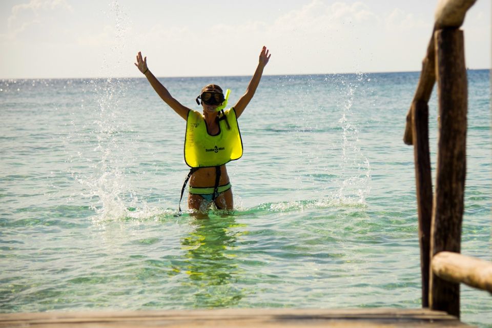 Cozumel Experience: ATV Wild Ride and Clear Boat Adventure - Snorkeling Among Marine Wildlife