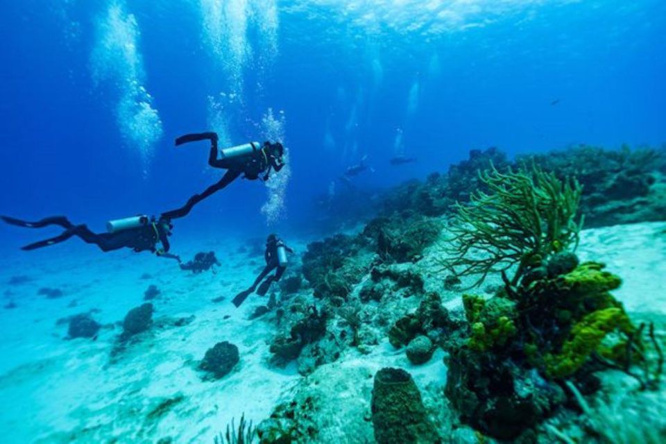 Cozumel: Fun Dive Adventure - Gear Provided