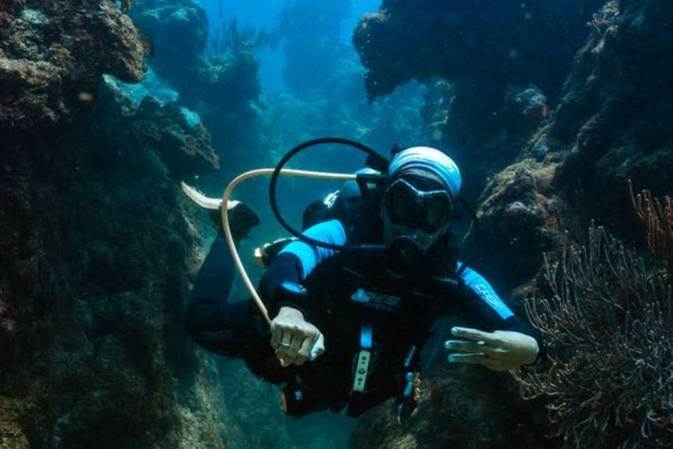 Cozumel: Fun Dive Adventure - Certification Requirements