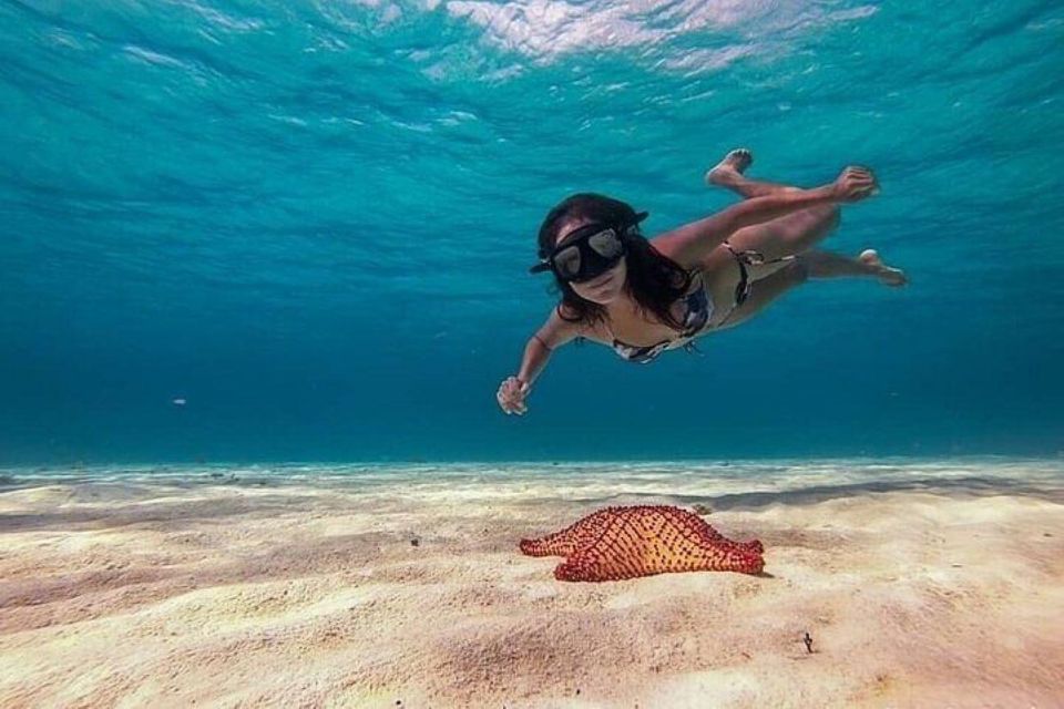 Cozumel: Glass-bottom Boat Snorkeling Adventure - Inclusions