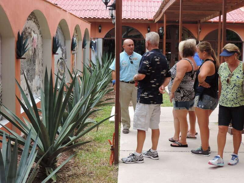 Cozumel: Historical Driving Tour by VW Buggy with Snorkeling - A Practical Breakdown of the Experience