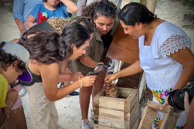 Cozumel: Honey Tasting & Hands-On Chocolate Experience - Frequently Asked Questions