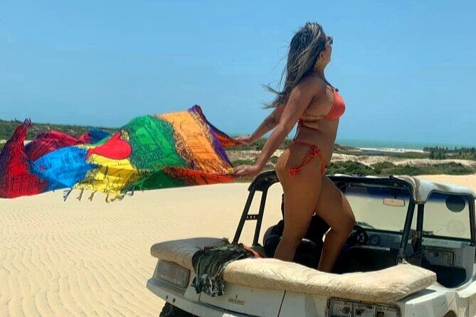 Cozumel Island Buggy & Visit San Martin Beach from Cancun & Playa del Carmen - Who Will Love This Tour?