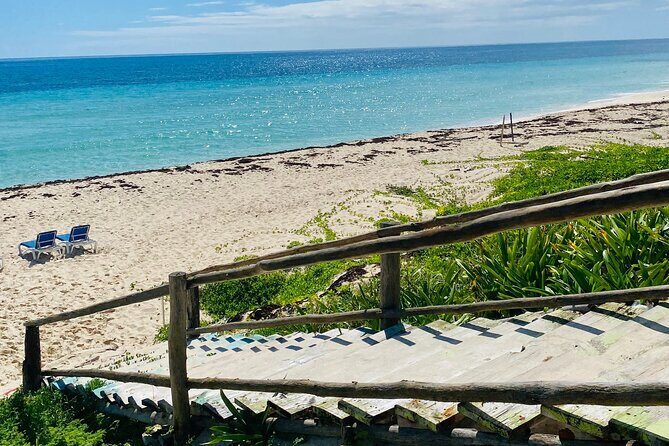 Cozumel Jeep Adventure Cenote Jade & Mayan Experience OTOCH - Final Thoughts