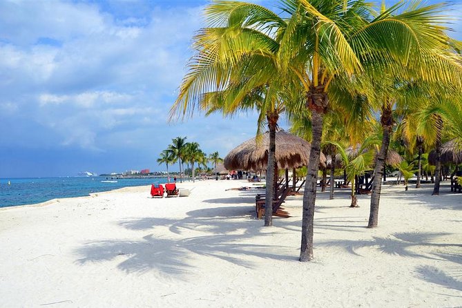 Cozumel Jeep or Buggy Tour and Snorkel With Lunch Included - Meeting Point and Time