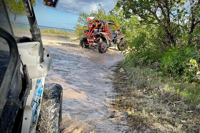 Cozumel: Jeep & Xrail Buggy Adventure Excursion - Authenticity and Customer Experience