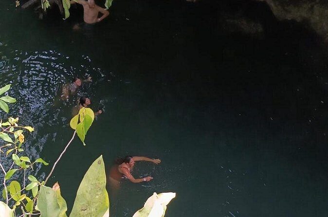 Cozumel Jungle ATV Tour Adventure and Caverns with transfer - Who Would Love This Tour?