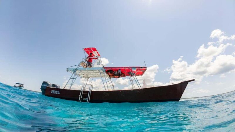 Cozumel, KUZÁ Beach & Adventure Park Deluxe Pass & El Cielo - The Experience: What Travelers Say