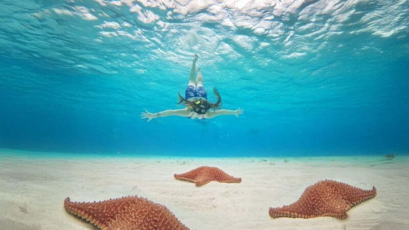 Cozumel, KUZÁ Beach & Adventure Park Deluxe Pass & El Cielo - Practical Tips for Your Day