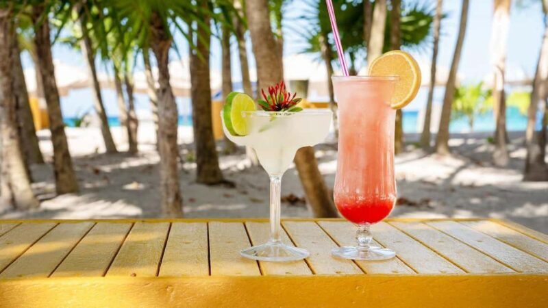 Cozumel, Kuzá Beach & Adventure Park & RZR Adventure - Who Will Love This Tour?