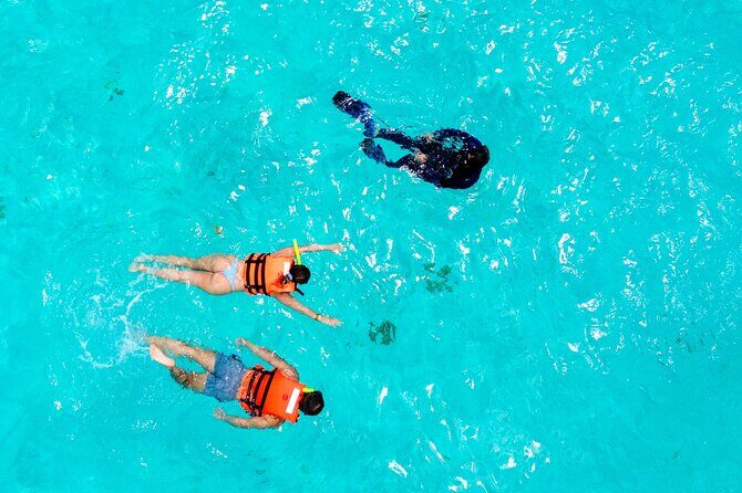 Cozumel, Kuzá Beach & Adventure Park VIP Pass - What Travelers Are Saying