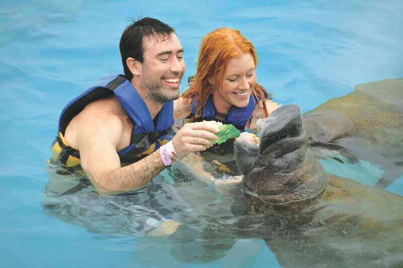 Cozumel: Manatee Encounter, Chankanaab Admission and Buffet - Pricing and Value