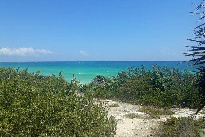 Cozumel: Mayan Jeep Tour Private Lunch Snorkeling Tour - FAQs