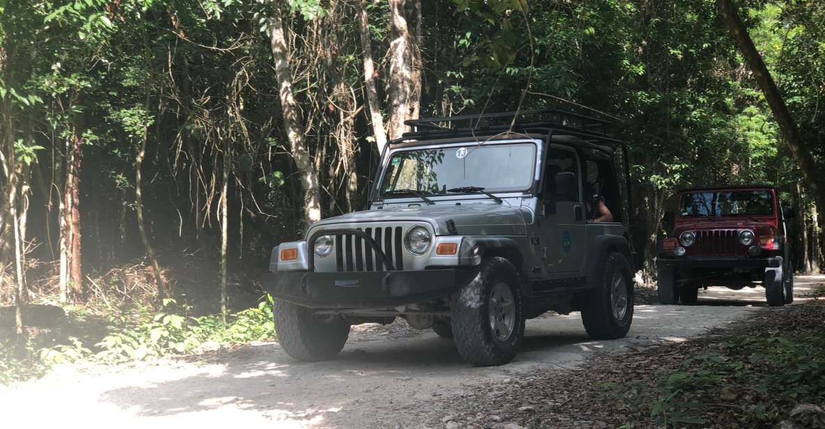 Cozumel: Mayan Jungle Jeep Ride to Jade Caverns and Snorkel - Driving Through the Mayan Jungle