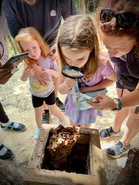 Cozumel: Mayan Roots and Local Tastes Guided Tour - Key Points