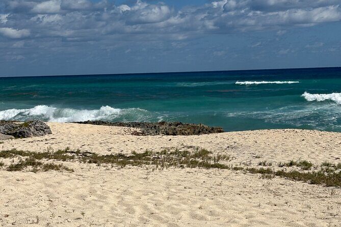 Cozumel Minivan Private Tour Experience - Final Thoughts