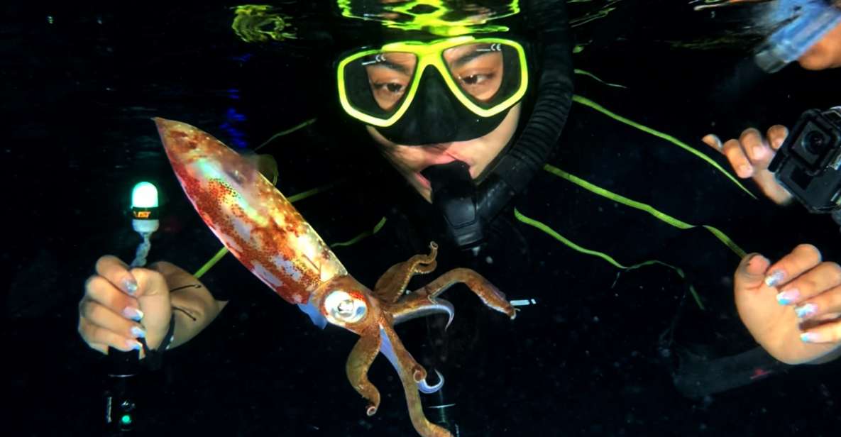 Cozumel: Night Time Snorker Session - Included Equipment and Transportation