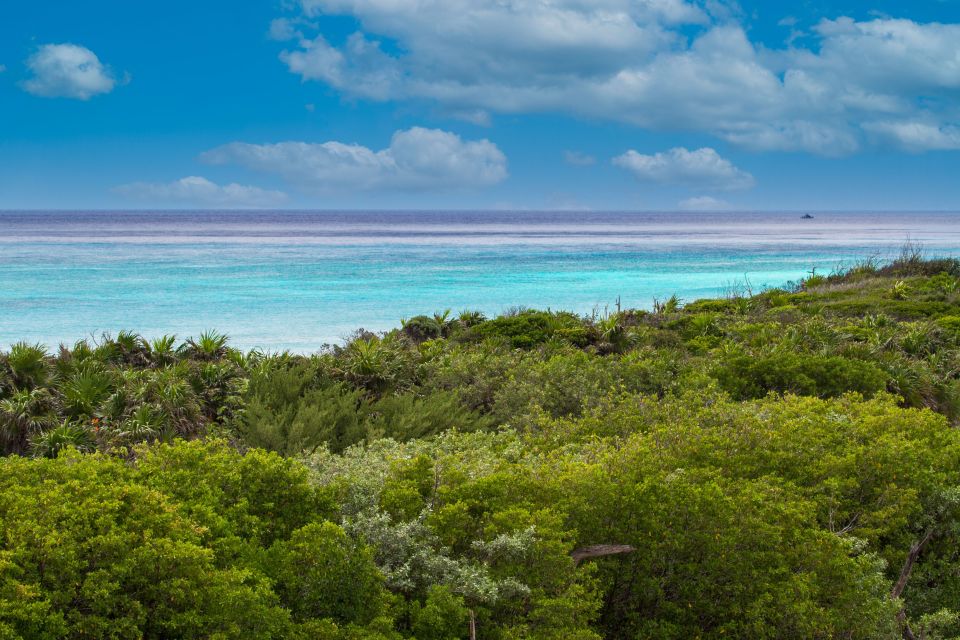 Cozumel: North Shore E-Bike Adventure & Beach Break - Frequently Asked Questions