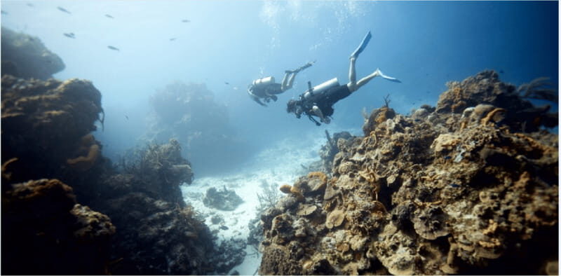Cozumel: Ocean Dive - An In-Depth Look at the Cozumel Ocean Dive Tour