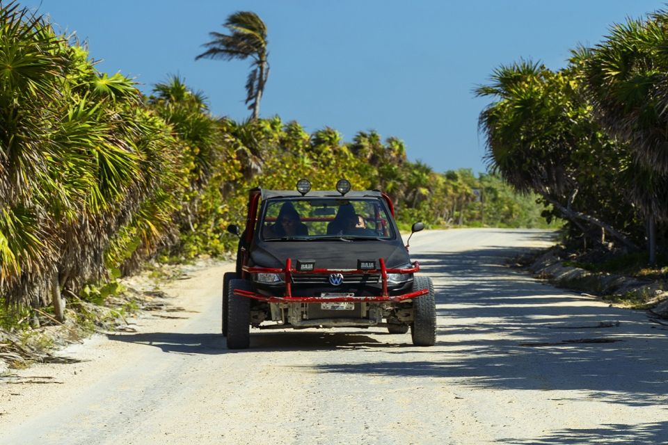 Cozumel: Off-road Adventure to Punta Sur and Clear Boat Ride - Snorkeling and Marine Wildlife