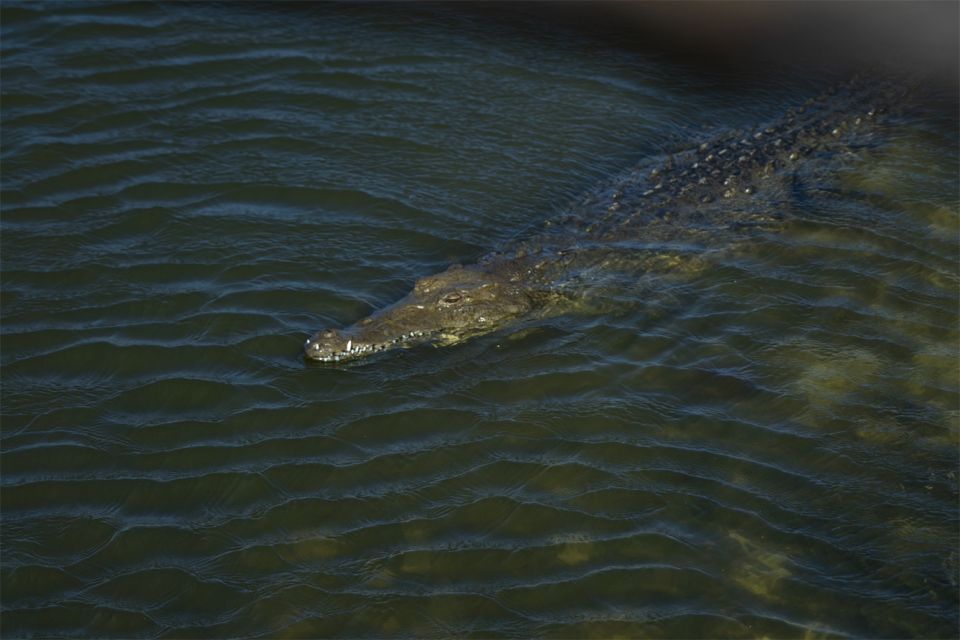 Cozumel: Off-road Adventure to Punta Sur and Clear Boat Ride - Meeting Points and Pickup