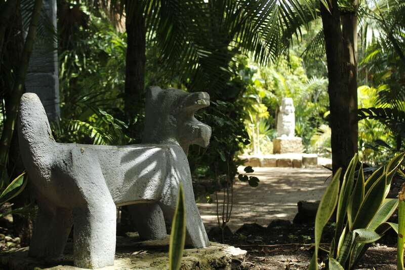 Cozumel: Official Chankanaab Park and Snorkeling with Lunch - The Value of This Experience