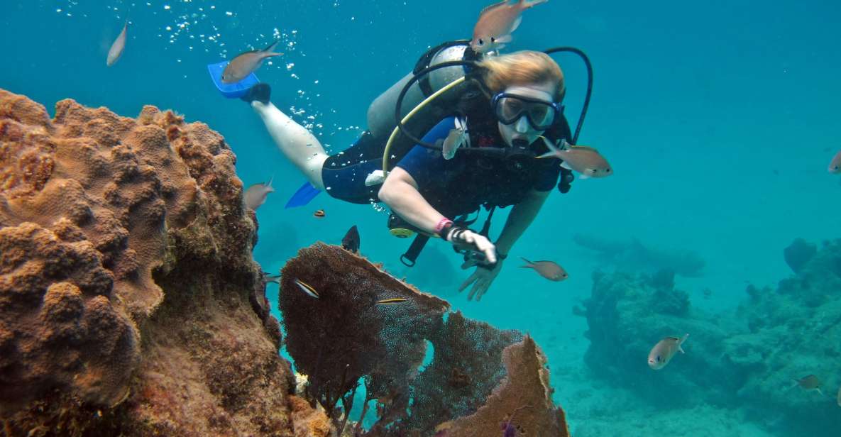 Cozumel: One Tank Scuba Dive and Full Chankanaab Park Access - Key Points