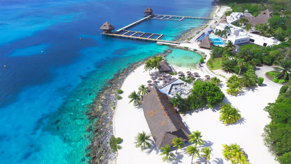 Cozumel: One Tank Scuba Dive and Full Chankanaab Park Access - Guided Scuba Diving Tour