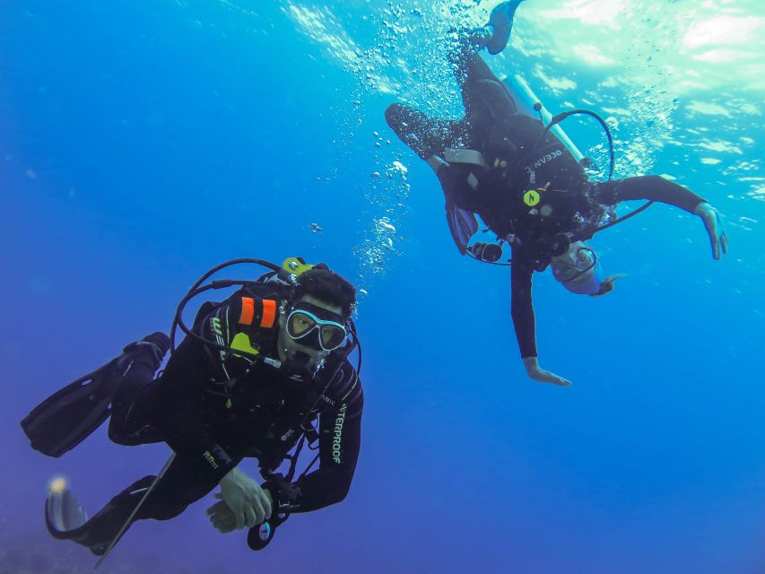 Cozumel: One Tank Scuba Dive and Full Chankanaab Park Access - Arrecifes De Cozumel National Park Tour