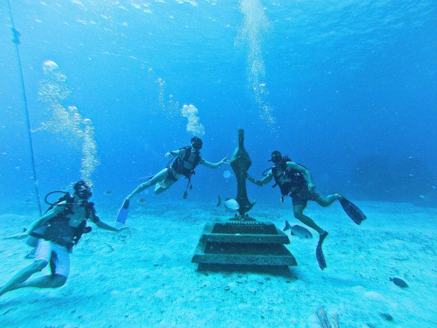 Cozumel: One Tank Scuba Dive and Full Chankanaab Park Access - Frequently Asked Questions