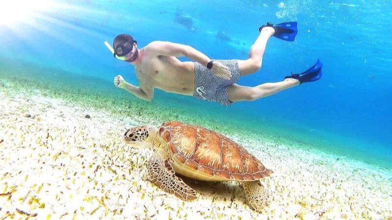 Cozumel: Palancar, Columbia and Cielo Reefs Snorkeling Tour - An In-depth Look at the Snorkeling Tour