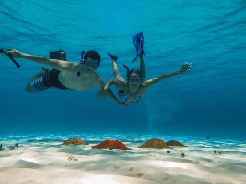 Cozumel: Palancar, Columbia and Cielo Reefs Snorkeling Tour - Who Should Consider This Tour?