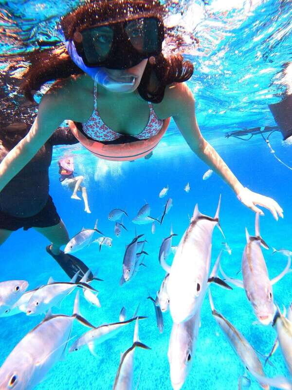 Cozumel: Palancar, Columbia and Cielo Reefs Snorkeling Tour - Who Should Consider This Tour?