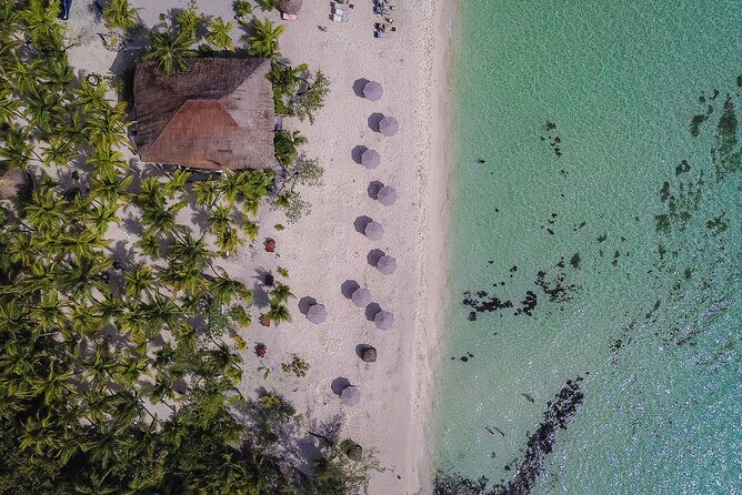 Cozumel Playa Palancar VIP All Inclusive Day Pass - An Authentic Beach Day in Cozumel: What to Expect