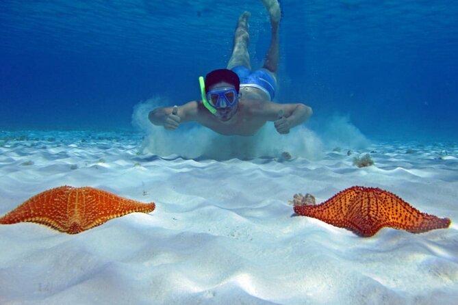 Cozumel Private 4-Hour Boat Tour to El Cielo With Snorkeling - Inclusions