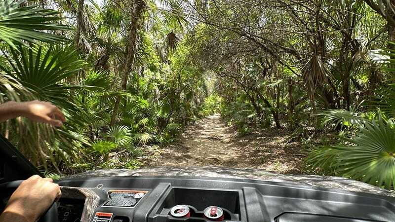 Cozumel: Private All Terrain Buggy Adventure at Virgin Beach - The Experience: Pros and Cons
