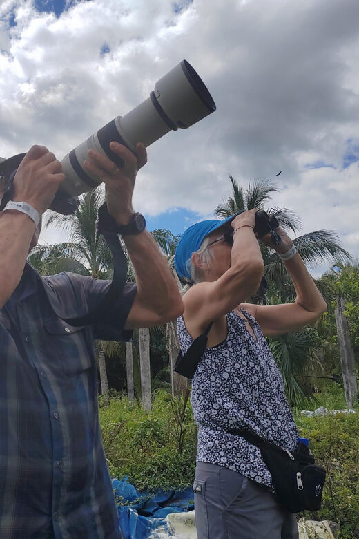 Cozumel: Private Car, Driver & Certified Tour Guide - What Makes This Tour Stand Out