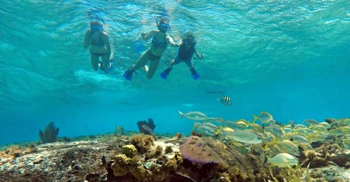 Cozumel: Private Charter Boat and Snorkel Day Trip - Key Points