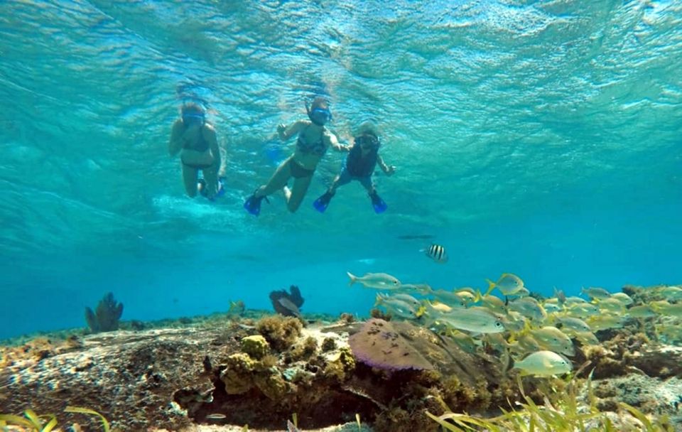 Cozumel: Private Charter Boat and Snorkel Day Trip - Snorkeling at Secluded Reef