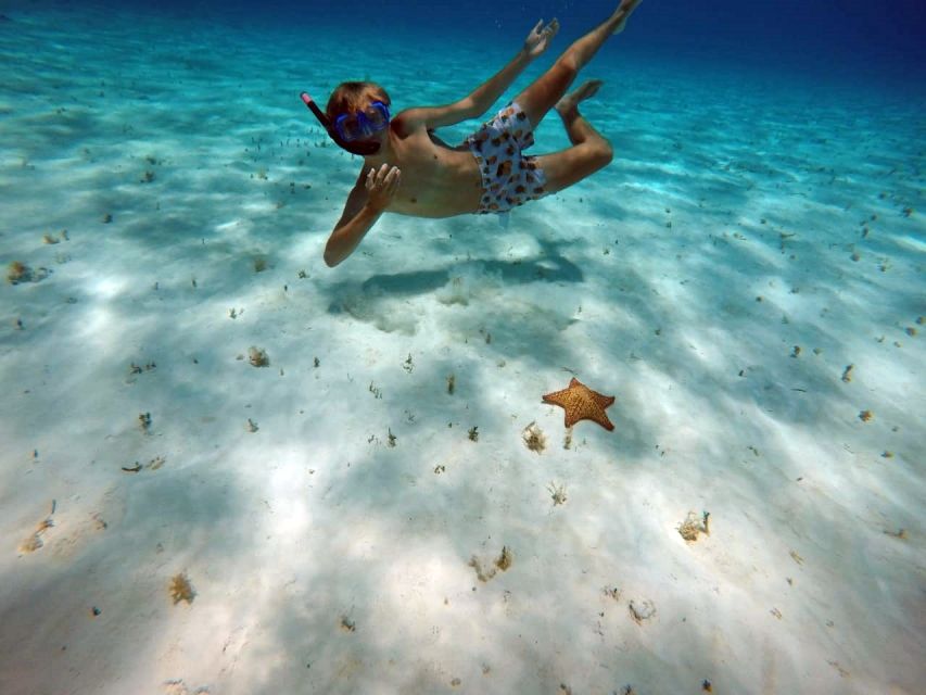 Cozumel: Private Charter Boat and Snorkel Day Trip - Cancellation and Important Information
