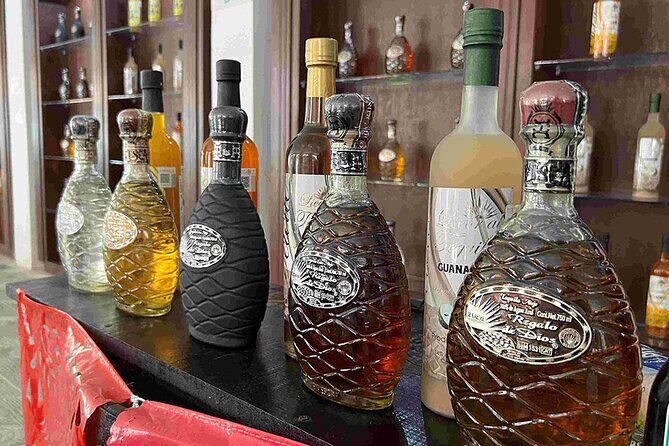 Cozumel Private Island Tour - Practical Details: Transportation, Timing, and Cost