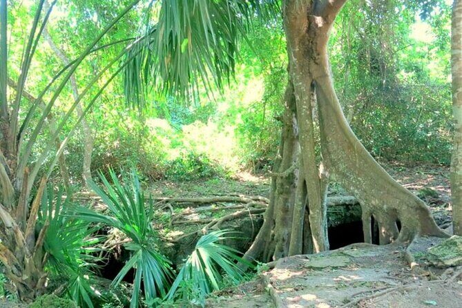 Cozumel: Private Jeep Tour, Mayan Ruins, Snorkeling & Lunch - FAQ