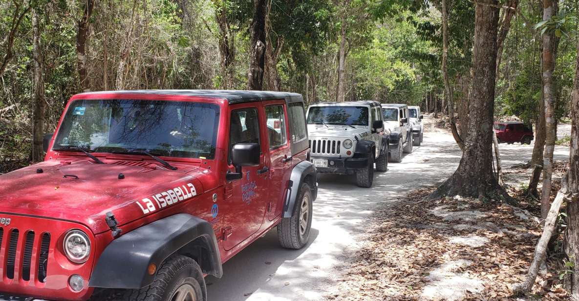 Cozumel: Private Jeep Tour Shore Excursion - Key Points