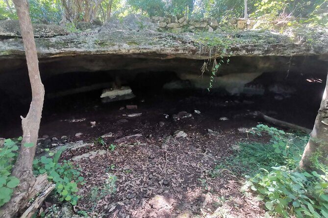 Cozumel Private Mayan caves & history Tour with cenote & Lunch - Who Is This Tour Best For?