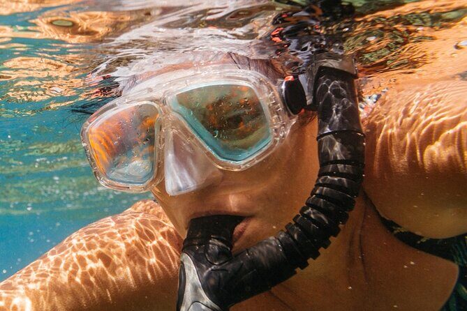 Cozumel: Private Snorkel Experience at Skyreef Beach Club - An In-Depth Look at the Tour Experience